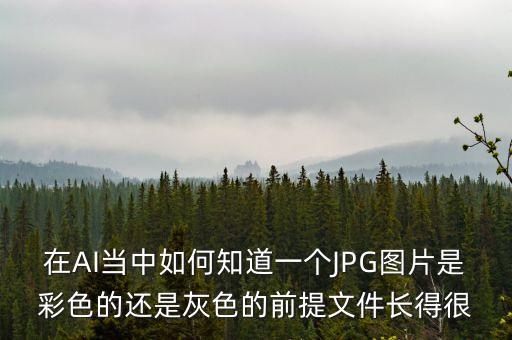 在AI當(dāng)中如何知道一個(gè)JPG圖片是彩色的還是灰色的前提文件長(zhǎng)得很