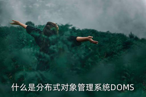 什么是分布式對(duì)象管理系統(tǒng)DOMS