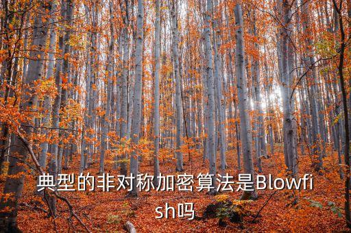 blowfish，blowfish加密好在什么地方具有什么特性