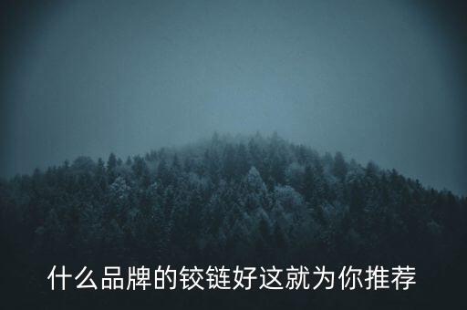 什么品牌的鉸鏈好這就為你推薦
