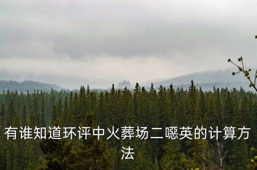 有誰(shuí)知道環(huán)評(píng)中火葬場(chǎng)二噁英的計(jì)算方法