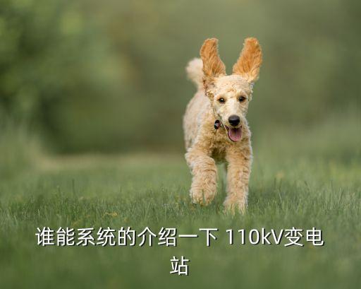 誰(shuí)能系統(tǒng)的介紹一下 110kV變電站