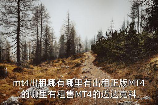 mt4出租，哪個公司有智能交易mt4軟件出售正版MT4軟件出售出租的啊