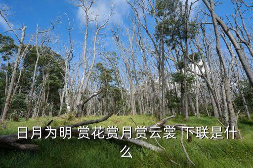 日月為明 賞花賞月賞云裳 下聯(lián)是什么
