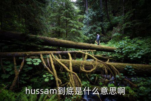 hussam到底是什么意思啊