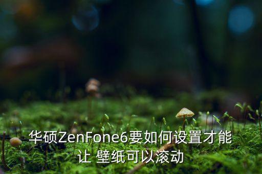 zenfone6，華碩ZenFone6要如何設(shè)置才能讓 壁紙可以滾動(dòng)