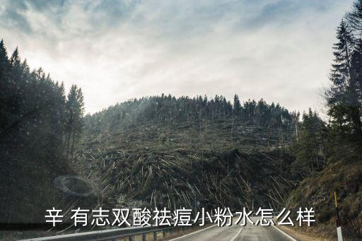 辛 有志雙酸祛痘小粉水怎么樣
