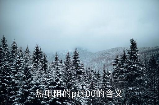 熱電阻的pt100的含義
