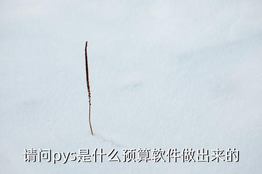 請問pys是什么預(yù)算軟件做出來的