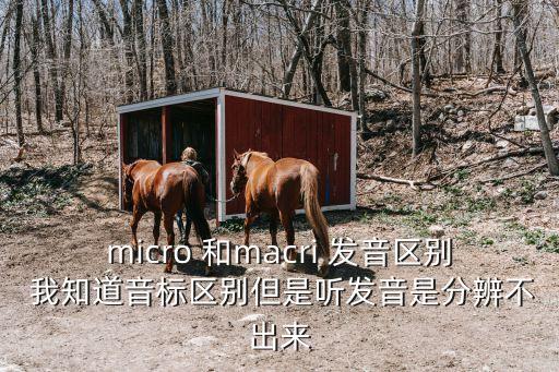 micro 和macri 發(fā)音區(qū)別 我知道音標(biāo)區(qū)別但是聽發(fā)音是分辨不出來