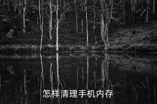 怎樣清理手機(jī)內(nèi)存