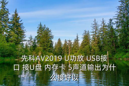 先科AV2019 U功放 USB接口 接U盤 內(nèi)存卡 5聲道輸出為什么接好以