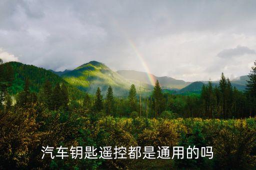 汽車鑰匙遙控都是通用的嗎