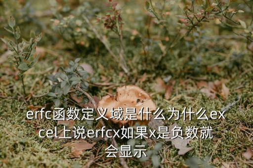 erfc函數(shù)定義域是什么為什么excel上說erfcx如果x是負數(shù)就會顯示