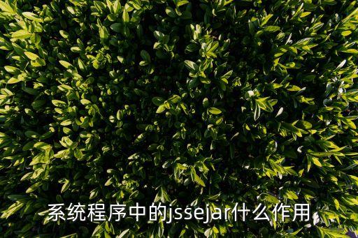 系統(tǒng)程序中的jssejar什么作用