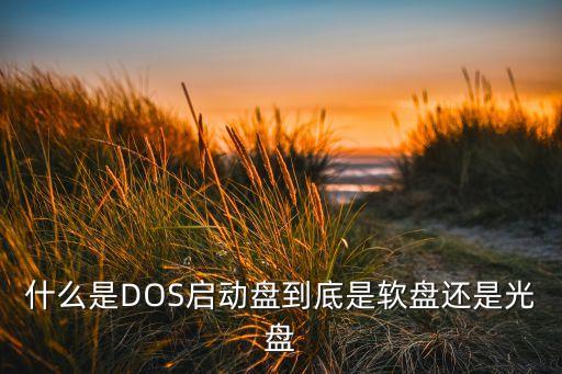 什么是DOS啟動(dòng)盤(pán)到底是軟盤(pán)還是光盤(pán)