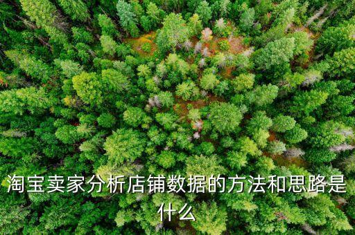 淘寶賣家分析店鋪數(shù)據(jù)的方法和思路是什么
