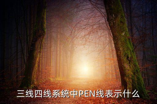 三線四線系統(tǒng)中PEN線表示什么