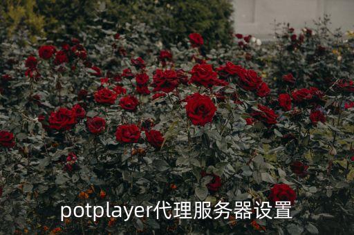 怎么看油管的視頻，我可以在iPhone中播放youtube的視頻么