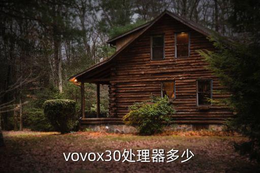 vovox30處理器多少