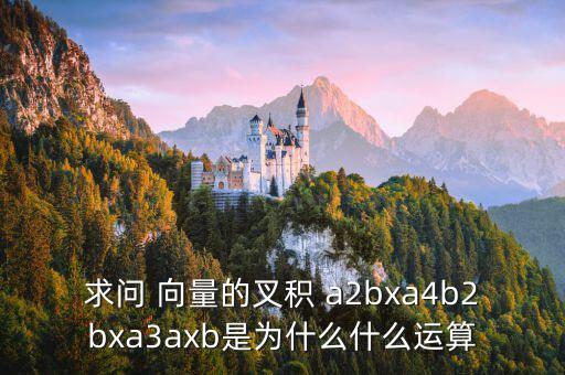 求問 向量的叉積 a2bxa4b2bxa3axb是為什么什么運(yùn)算