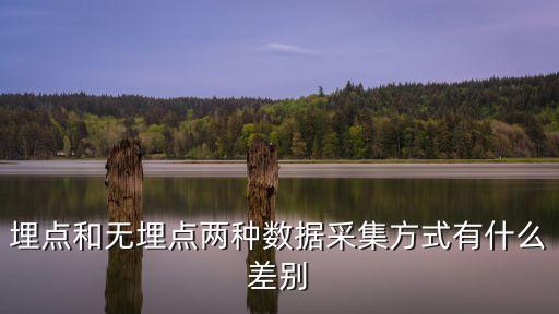 埋點和無埋點兩種數(shù)據(jù)采集方式有什么差別