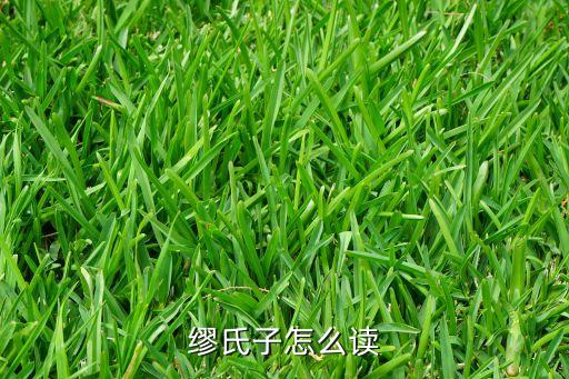 繆子，繆氏子怎么讀