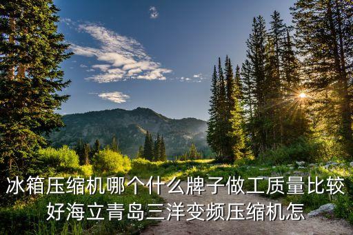 海立壓縮機(jī)，冰箱壓縮機(jī)哪個(gè)什么牌子做工質(zhì)量比較好海立青島三洋變頻壓縮機(jī)怎