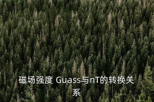guass，guass是什么 單位具體解釋一下