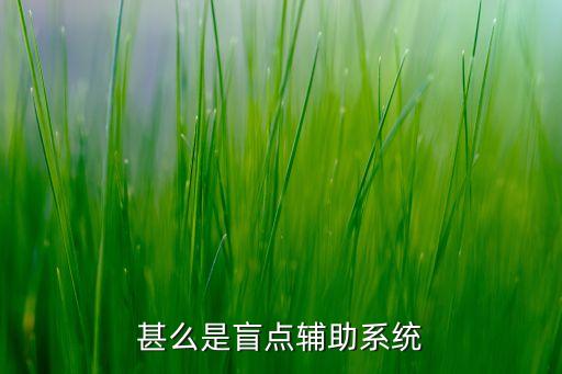 甚么是盲點輔助系統(tǒng)