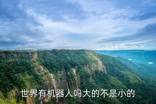日本仿真機器人，日本高精度仿真機器人很棒嗎