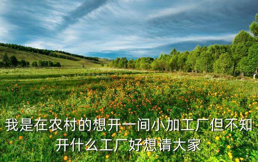 我是在農(nóng)村的想開一間小加工廠但不知開什么工廠好想請大家
