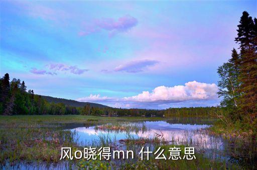 風曉得，風o曉得mn 什么意思