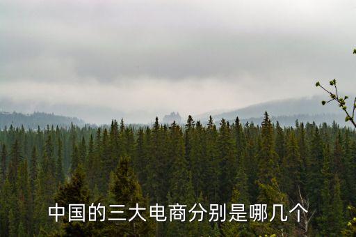 中國(guó)的三大電商分別是哪幾個(gè)