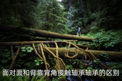角接觸軸承，角接觸球軸承應(yīng)該購(gòu)買什么品牌的