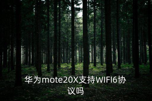 華為mote20X支持WIFI6協(xié)議嗎