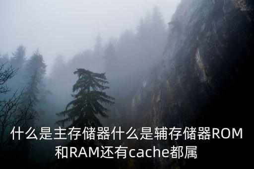 什么是主存儲器什么是輔存儲器ROM和RAM還有cache都屬
