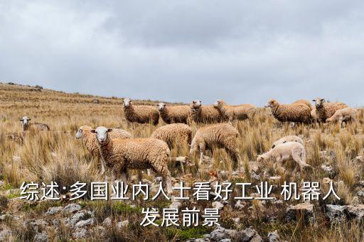 綜述:多國業(yè)內(nèi)人士看好工業(yè) 機(jī)器人發(fā)展前景