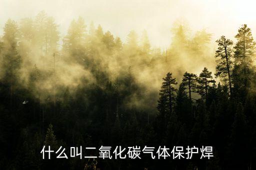 什么叫二氧化碳氣體保護焊