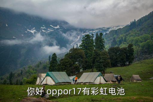 彩虹電池，你好 oppor17有彩虹電池
