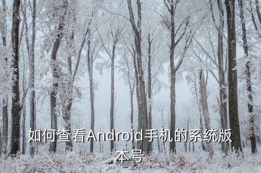 版本號，如何查看Android手機的系統(tǒng)版本號