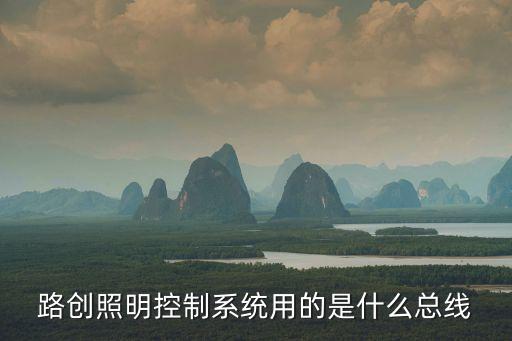 路創(chuàng)照明控制系統(tǒng)用的是什么總線