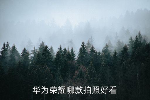 華為榮耀哪款拍照好看