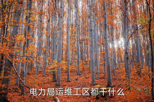 電力運維，電力設(shè)備運維服務(wù)就業(yè)方向和就業(yè)前景怎么樣待遇方面適合考國家