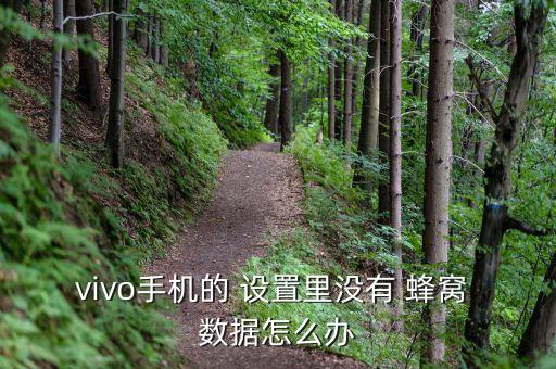 蜂窩數(shù)據(jù)網(wǎng)絡(luò)設(shè)置不見了,iphone蜂窩數(shù)據(jù)網(wǎng)絡(luò)設(shè)置