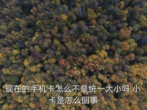 現(xiàn)在的手機(jī)卡怎么不是統(tǒng)一大小嗎 小卡是怎么回事