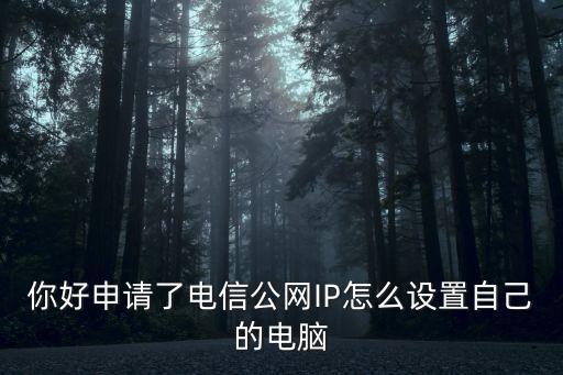 你好申請(qǐng)了電信公網(wǎng)IP怎么設(shè)置自己的電腦