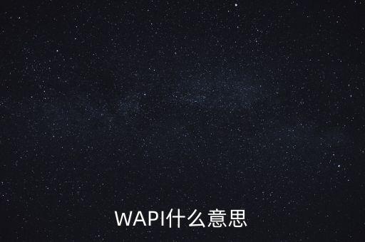 WAPI什么意思
