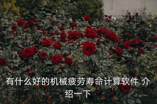 壽命計(jì)算器，敢用壽命計(jì)算器嗎