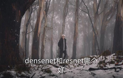 densenet和resnet哪個好